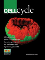 CellCycle